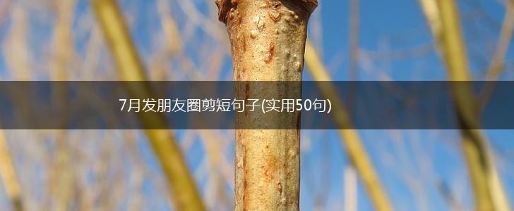 7月发朋友圈剪短句子(实用50句),第1张