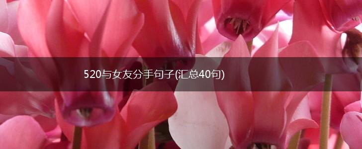520与女友分手句子(汇总40句),第1张