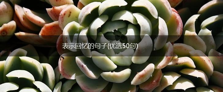 表示回忆的句子(优选50句),第1张