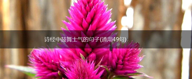 诗经中鼓舞士气的句子(通用49句),第1张