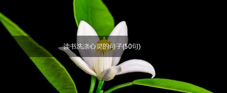 读书洗涤心灵的句子(50句),第1张