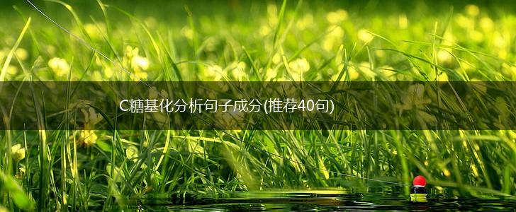 C糖基化分析句子成分(推荐40句),第1张