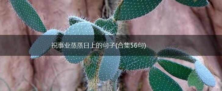 祝事业蒸蒸日上的句子(合集56句),第1张