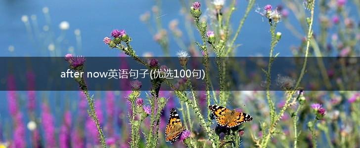 after now英语句子(优选100句),第1张