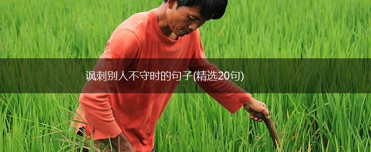 讽刺别人不守时的句子(精选20句),第1张
