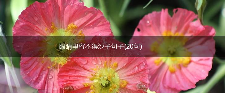 眼睛里容不得沙子句子(20句),第1张