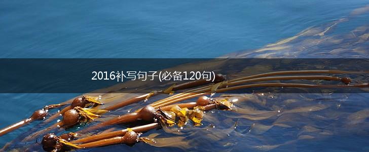 2016补写句子(必备120句),第1张