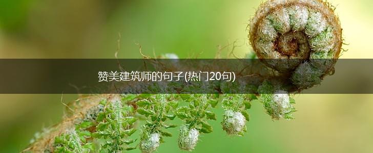 赞美建筑师的句子(热门20句),第1张