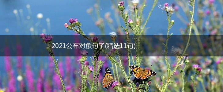 2021公布对象句子(精选11句),第1张