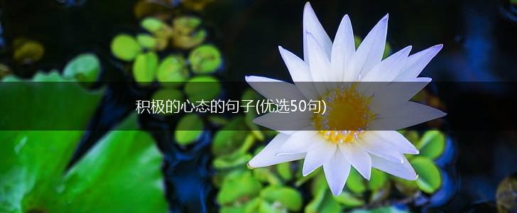 积极的心态的句子(优选50句),第1张