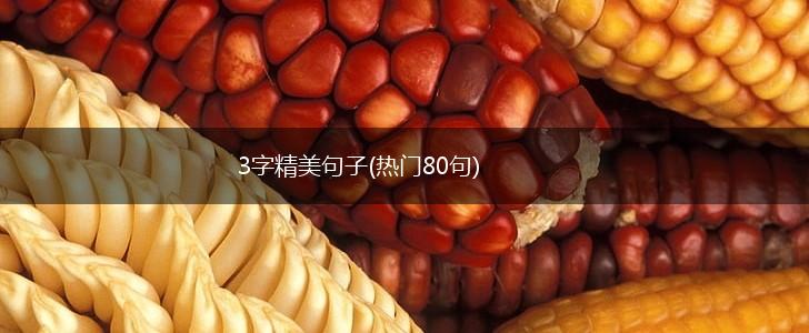 3字精美句子(热门80句),第1张