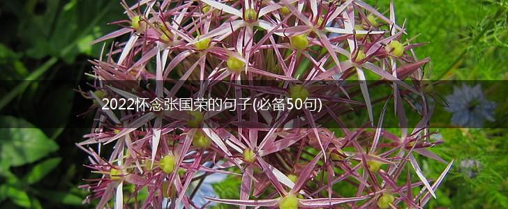 2022怀念张国荣的句子(必备50句),第1张
