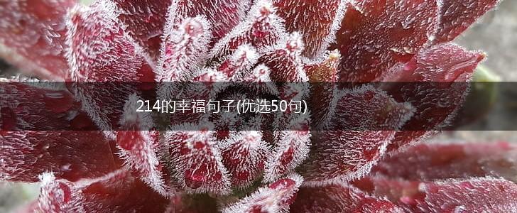 214的幸福句子(优选50句),第1张