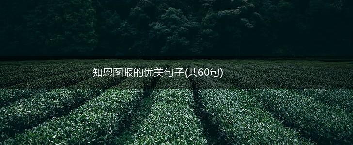 知恩图报的优美句子(共60句),第1张