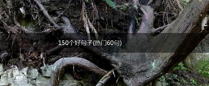 150个好句子(热门60句),第1张