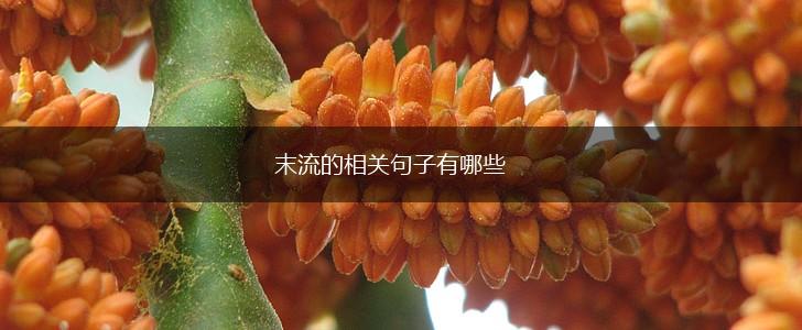 末流的相关句子有哪些,第1张