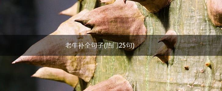 老牛补全句子(热门25句),第1张