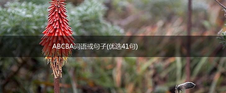 ABCBA词语或句子(优选41句),第1张