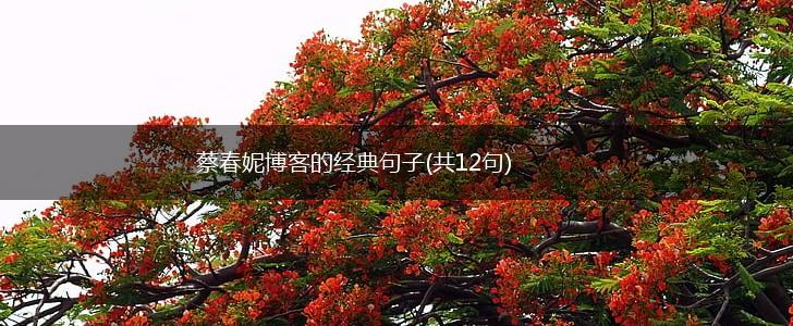 蔡春妮博客的经典句子(共12句),第1张