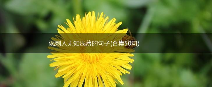 讽刺人无知浅薄的句子(合集50句),第1张