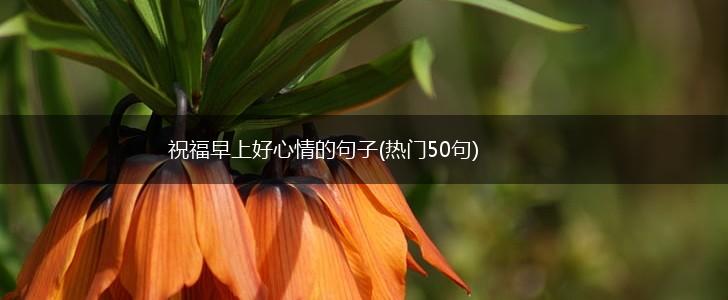 祝福早上好心情的句子(热门50句),第1张