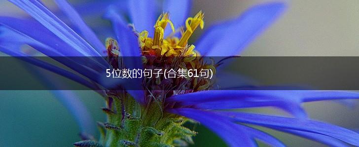 5位数的句子(合集61句),第1张