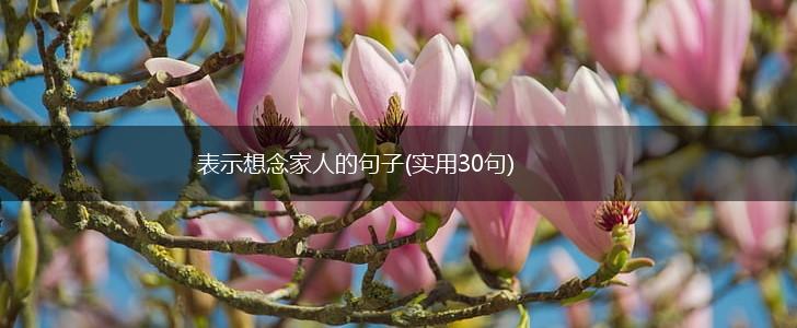 表示想念家人的句子(实用30句),第1张
