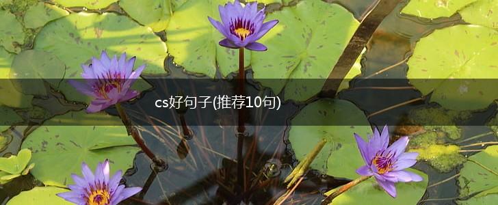 cs好句子(推荐10句),第1张