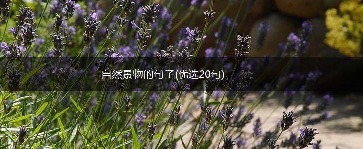 自然景物的句子(优选20句),第1张