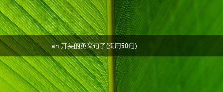 an 开头的英文句子(实用50句),第1张