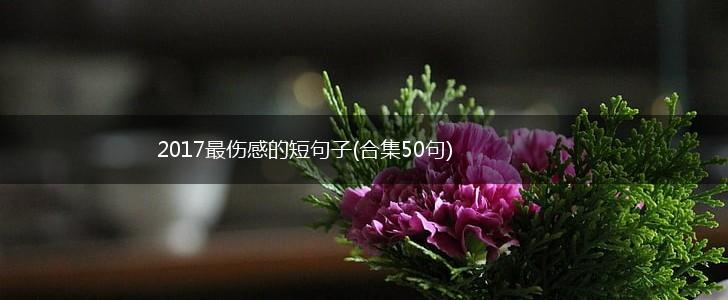 2017最伤感的短句子(合集50句),第1张