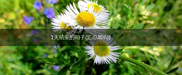 1天结束的句子(汇总80句),第1张
