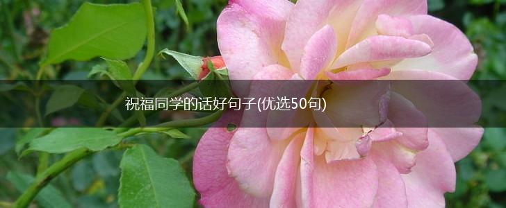祝福同学的话好句子(优选50句),第1张
