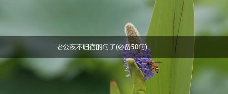 老公夜不归宿的句子(必备50句),第1张