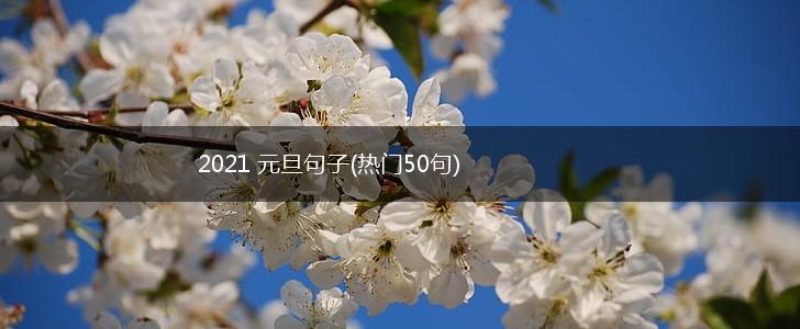 2021 元旦句子(热门50句),第1张