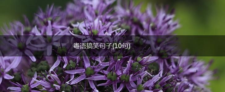 粤语搞笑句子(10句),第1张
