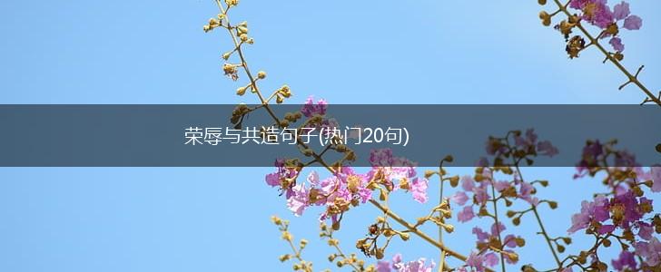 荣辱与共造句子(热门20句),第1张
