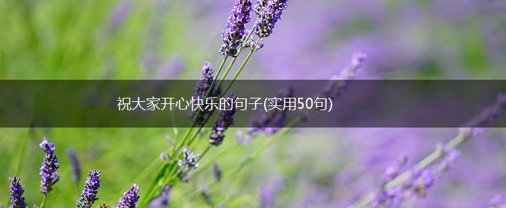 祝大家开心快乐的句子(实用50句),第1张