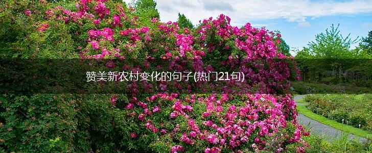赞美新农村变化的句子(热门21句),第1张