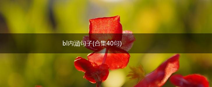 bl内涵句子(合集40句),第1张