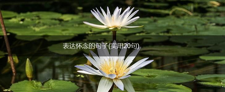 表达怀念的句子(实用20句),第1张