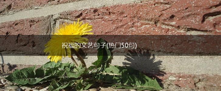 祝福的文艺句子(热门50句),第1张