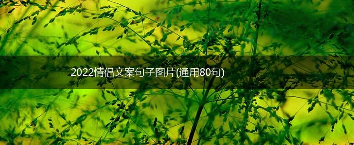 2022情侣文案句子图片(通用80句),第1张