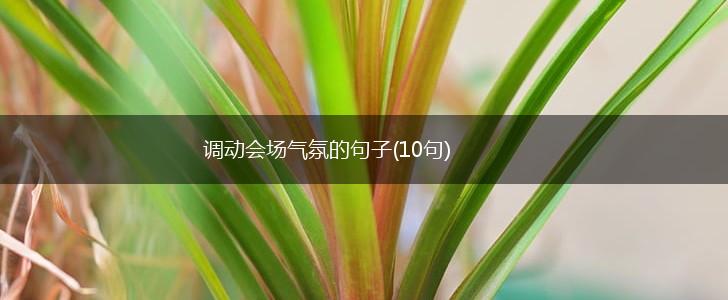 调动会场气氛的句子(10句),第1张