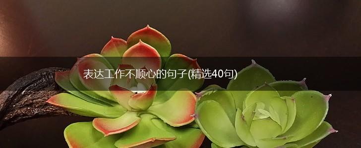 表达工作不顺心的句子(精选40句),第1张
