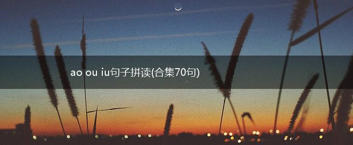 ao ou iu句子拼读(合集70句),第1张