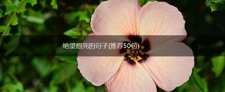 绝望想死的句子(推荐50句),第1张