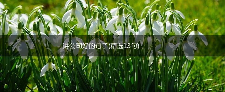 讲公司好的句子(精选13句),第1张