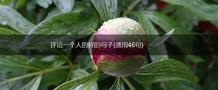 评论一个人的好的句子(通用46句),第1张