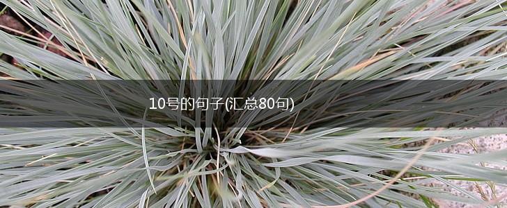 10号的句子(汇总80句),第1张